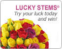 Click & Try Your Luck – Be Our Instant Winner of the Day!