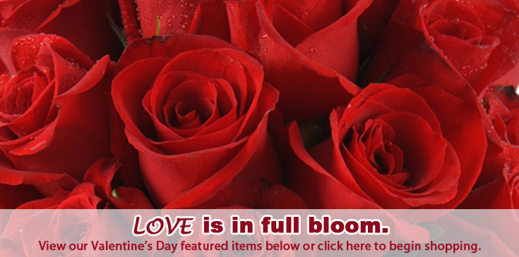 Valentine's Day - 