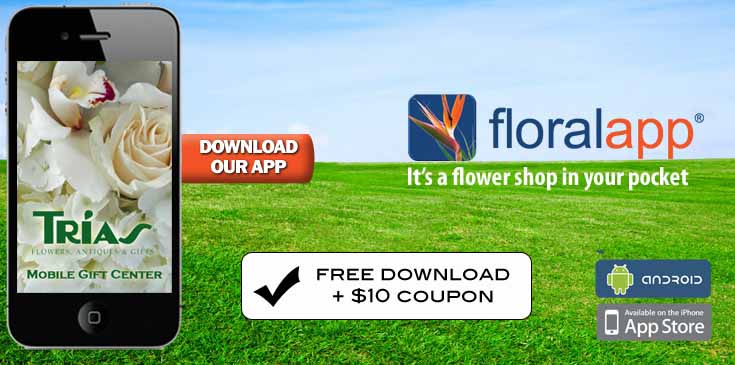 FloralApp - 
