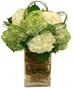 Hydrangeas