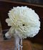 Bridal & Bridesmaid Bouquets