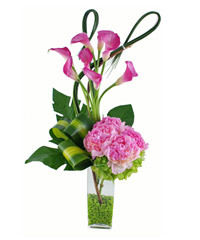 Photography of Boxed Roses