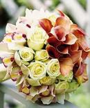 BB20 Bouquet