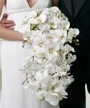 BB21 Bouquet
