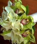 BB25 Bouquet
