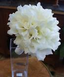 BB07 Bouquet