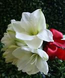 BB30 Bouquet