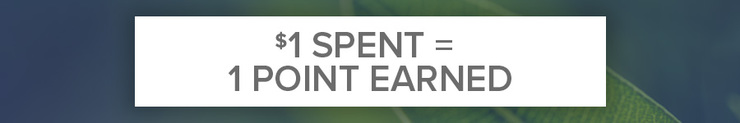 $1 Spent = 1 point Earned