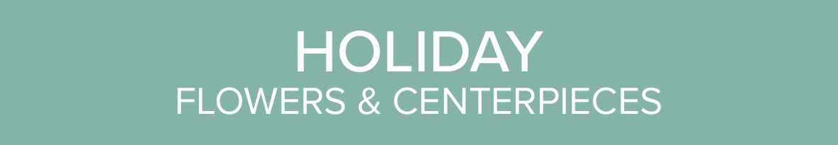 Holiday/Christmas Banner