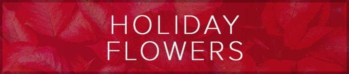 Holiday Flowers