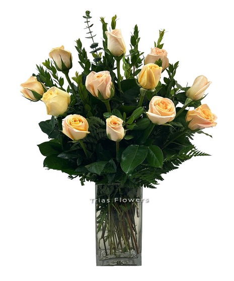 1 Dz Peach Roses