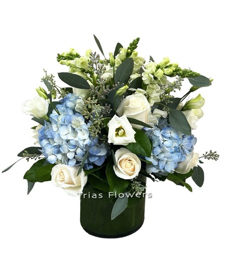 Airy Blue