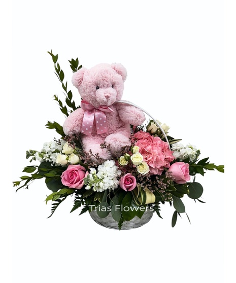 Baby Girl Yummy Bear