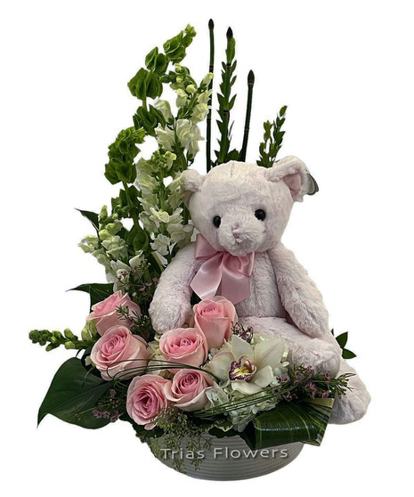 Baby Girl Huggie Bear
