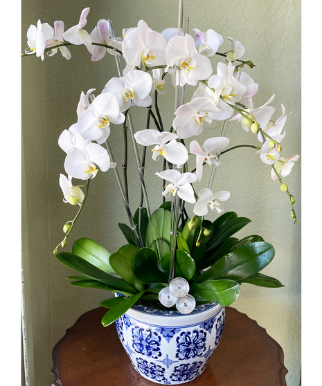Sextuplet Orchid -  White & Blue Ceramic Vase