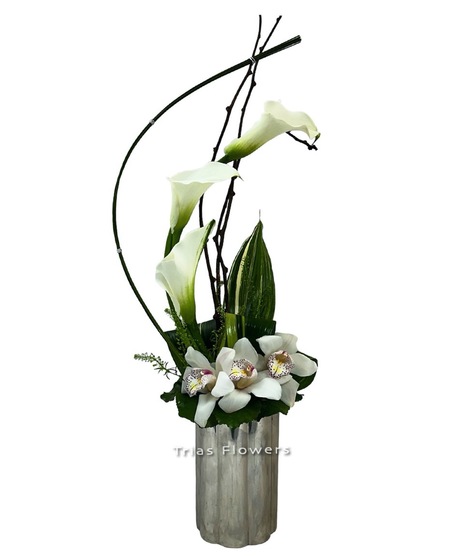 White Artistry
