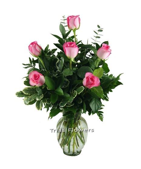 1/2 Dz Pink Roses