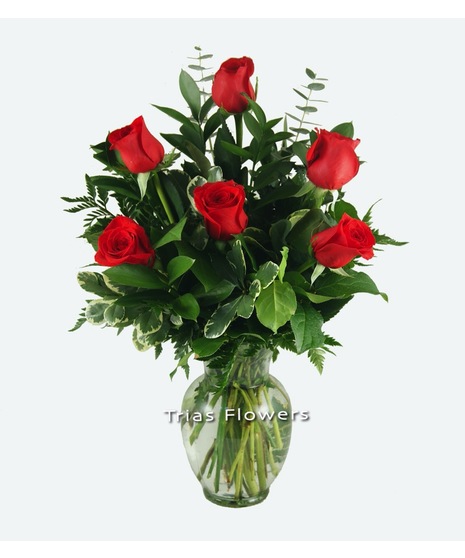 1/2 Dz Red Roses