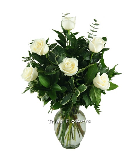 1/2 DZ White Roses