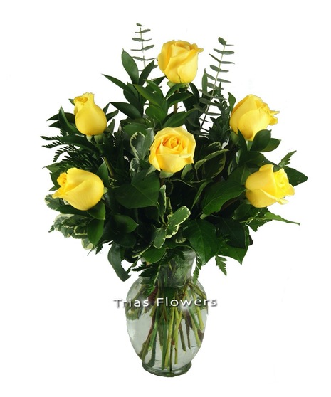 1/2 Dz Yellow Roses