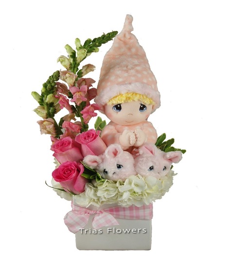 New Baby Flowers - OLD