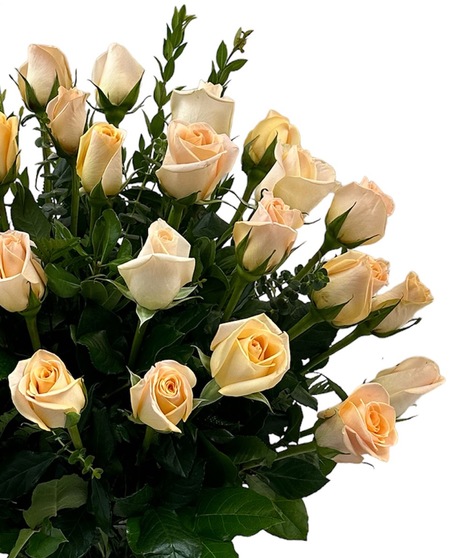 Four Dozen Roses in a Vase