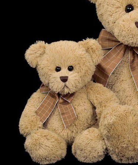 Adorable brown stuffed bear
