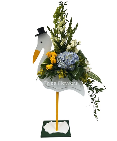 Baby Boy Stork
