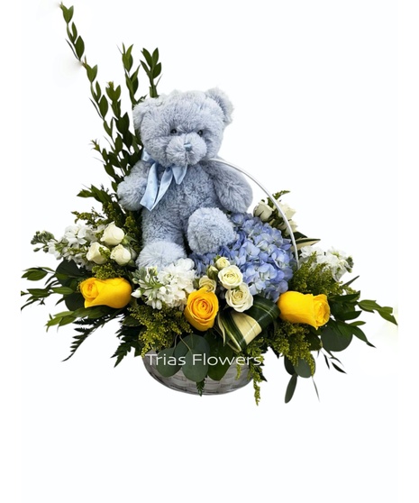New Baby Flowers & Gifts