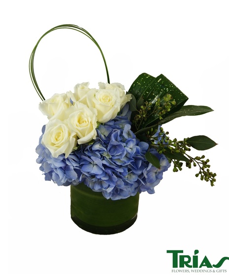 Blue Ribbon