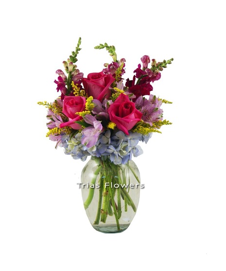 Delicate Blooms