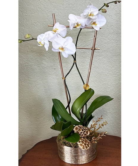 Double Orchid Gold Vase