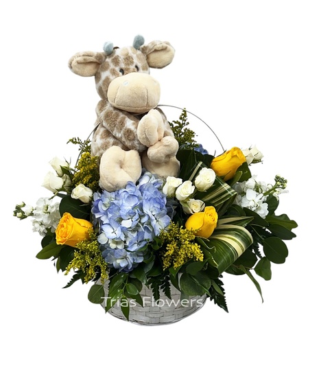 New Baby Flowers & Gifts
