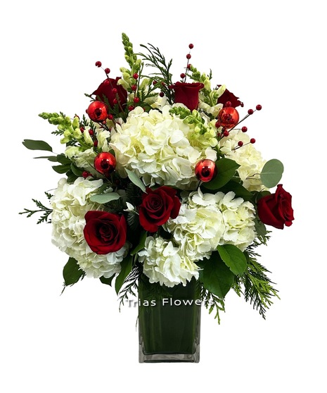 red and white flowers