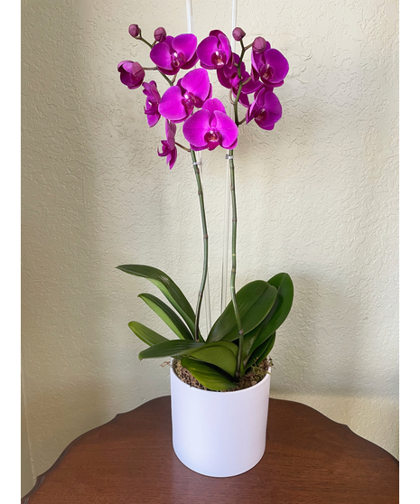 Mother's Day Flowers