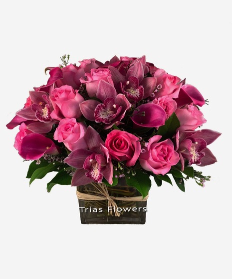 Mother's Day
