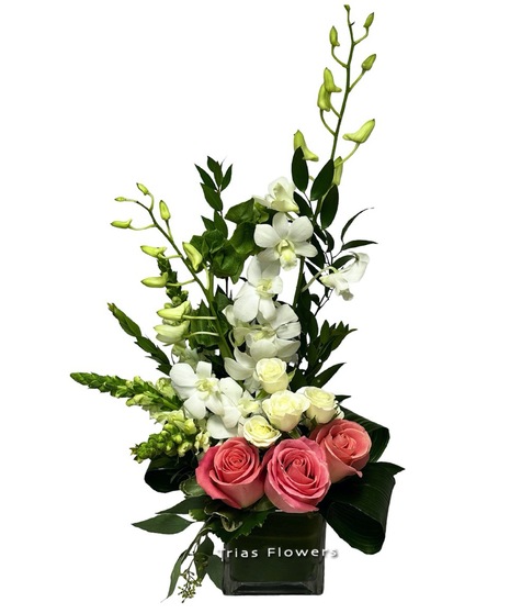 New Baby Flowers & Gifts