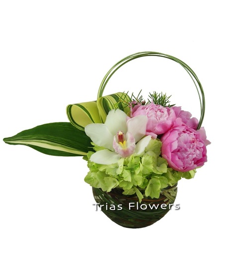 Peony Perfection