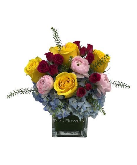 Mystical Blooms