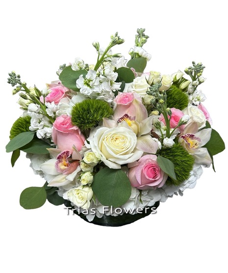 pink and white flowers