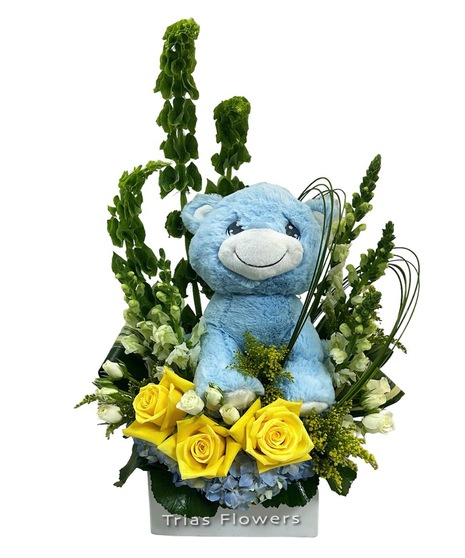 New Baby Flowers & Gifts