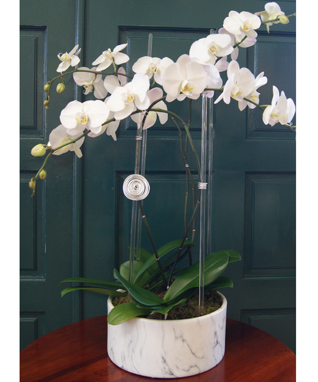 Quadruple Orchid Round Marble Vase