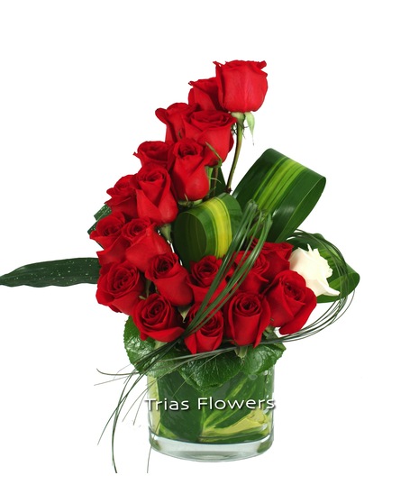 Red Rose Wave