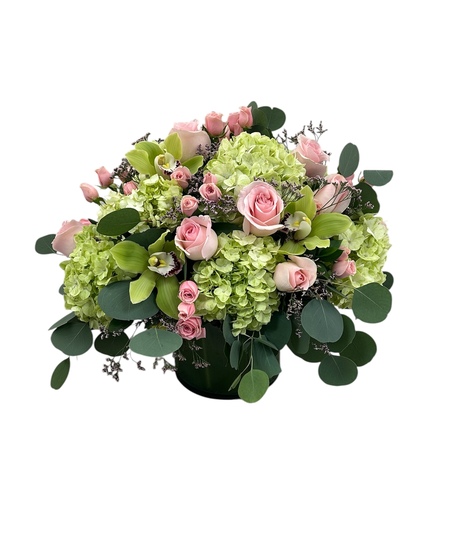 New Baby Flowers & Gifts