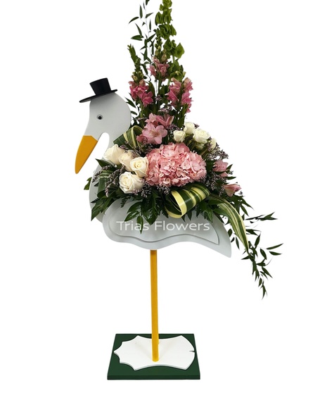Baby Girl Stork
