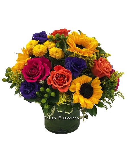 Vivid Blooms