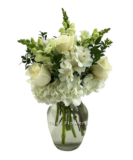 White Wonders