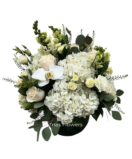 Thank You Flowers & Gifts