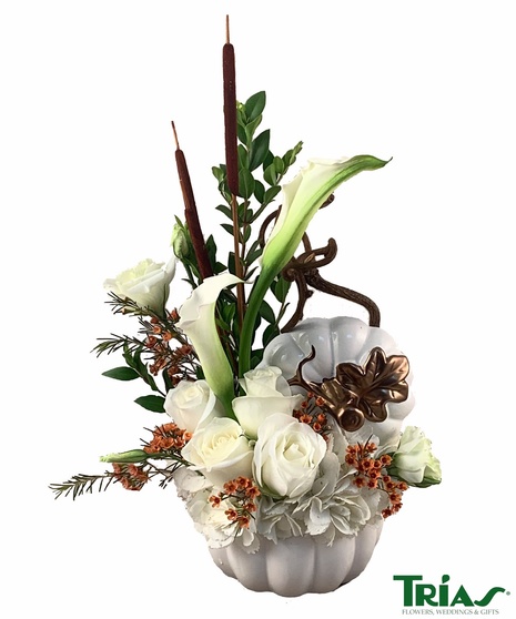 White Pumpkin Arrangement